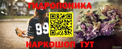 прущие грибы Уссурийск