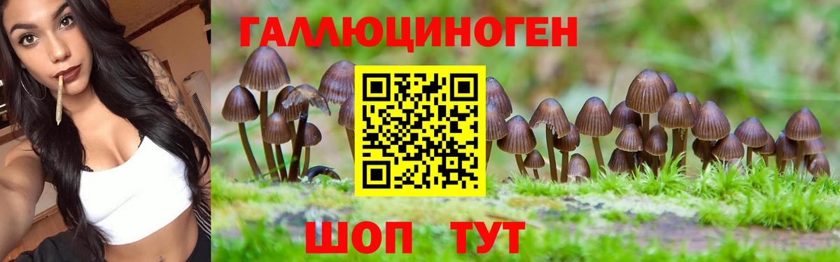 Псилоцибиновые грибы Cubensis  Вход с VPN  Кимры 